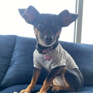 Meet your Posher, Kelly